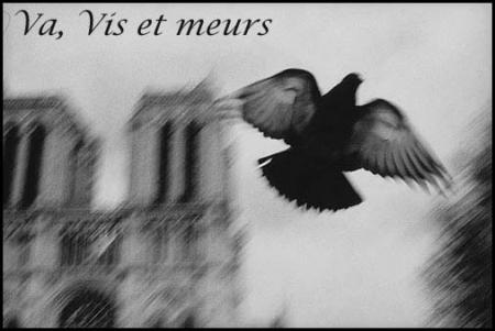 va vi meur..............